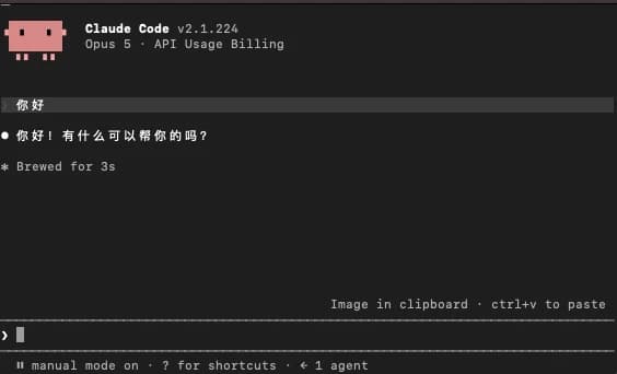Claude Code 启动界面，顶部显示 Claude Code 版本号，下一行是「Opus 5 · API Usage Billing」