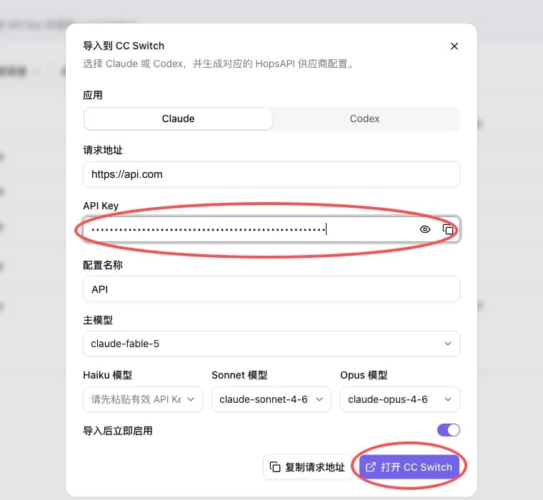 控制台的「导入到 CC Switch」弹窗，应用选中 Claude，请求地址为 https://api.com，红框标出粘贴密钥的 API Key 输入框，红圈标出右下角的「打开 CC Switch」按钮